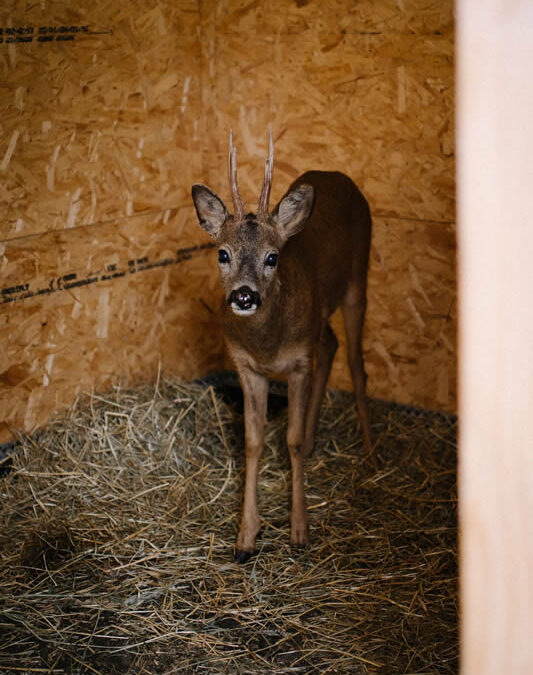 Recherche de stagiaire en communication