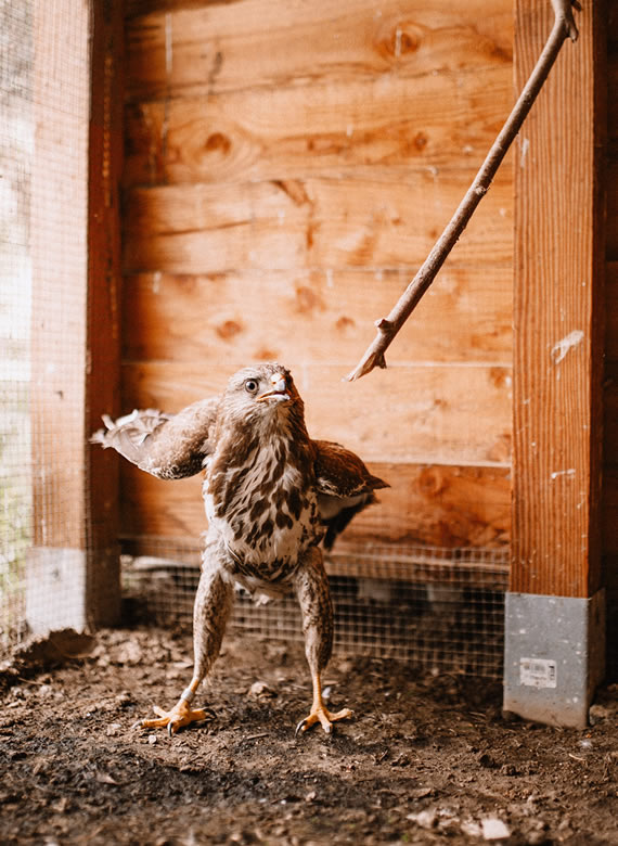 Soins CREAVES Soins CREAVES