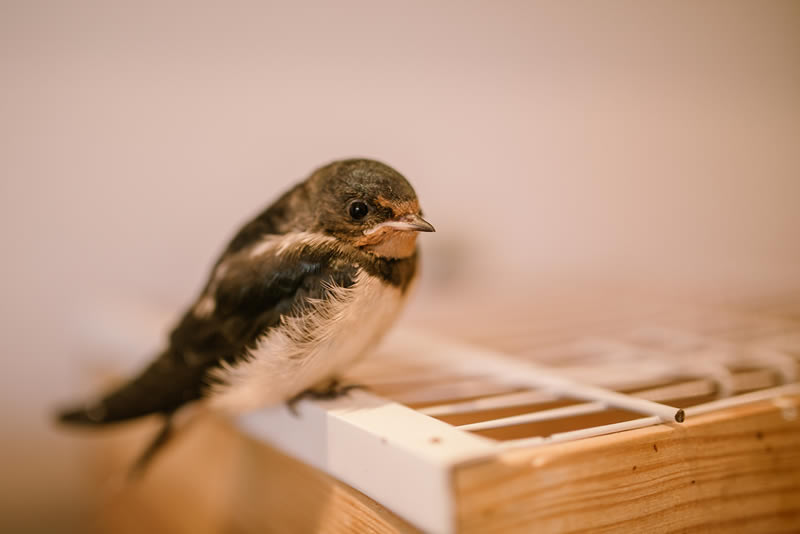 Centre CREAVES Trouver un Centre CREAVES