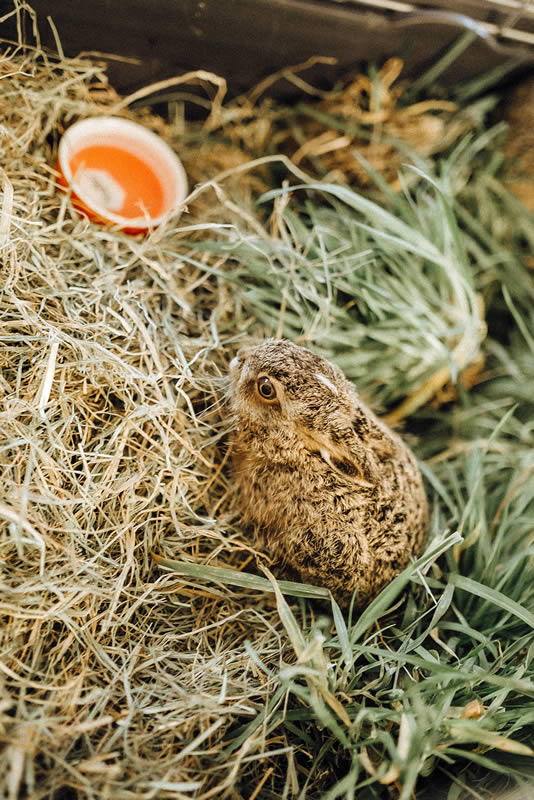 Centre CREAVES Trouver un Centre CREAVES