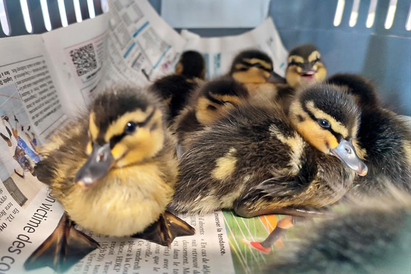 Centre CREAVES Trouver un Centre CREAVES