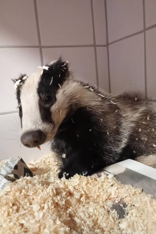 Centre CREAVES Trouver un Centre CREAVES