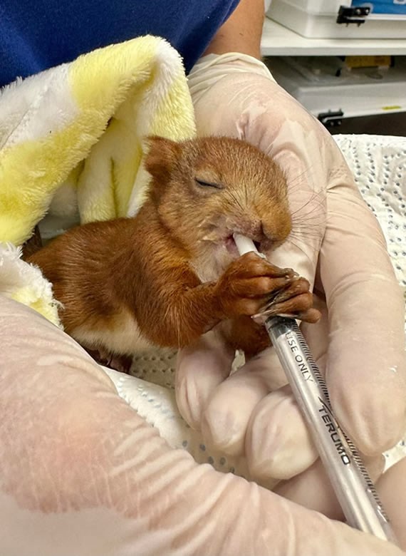 CREAVES Soins CREAVES