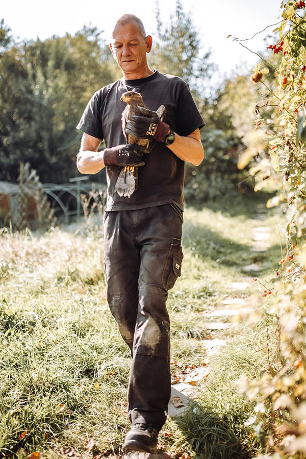 Devenez bénévole pour la faune sauvage en détresse Devenez bénévole pour la faune sauvage en détresse