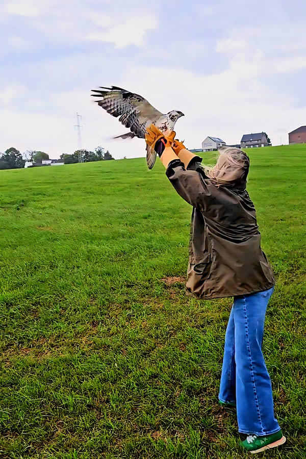 Bénévole Devenir bénévole