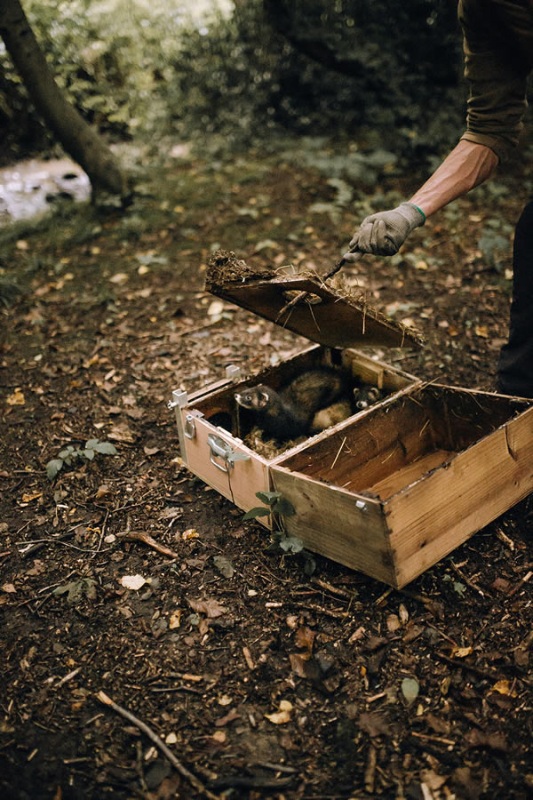 Bénévole Devenir bénévole