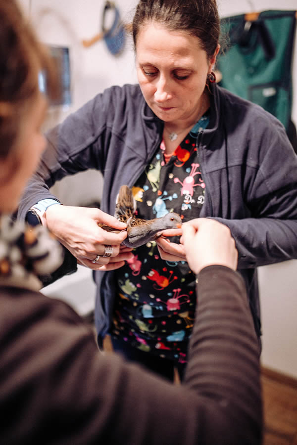 devenez partenaire de la fédération des CREAVES Nous soutenir - devenez partenaire de la fédération des CREAVES