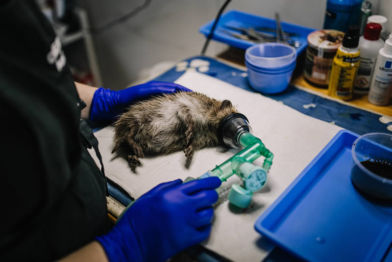 Faire un don à la fédération des CREAVES Soutenir financièrement la fédération des CREAVES - Faire un don à la fédération des CREAVES