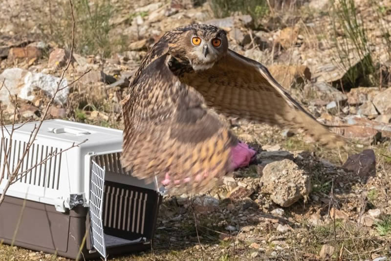 Faire un don à la fédération des CREAVES Soutenir financièrement la fédération des CREAVES - Faire un don à la fédération des CREAVES