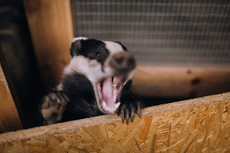Faire un don à la fédération des CREAVES Soutenir financièrement la fédération des CREAVES - Faire un don à la fédération des CREAVES