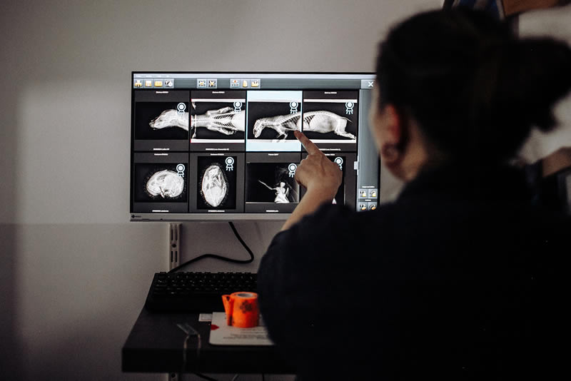 Faire un don à la fédération des CREAVES Soutenir financièrement la fédération des CREAVES - Faire un don