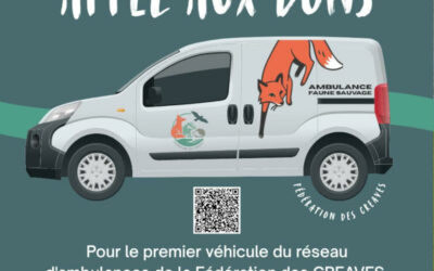 Aidez-nous à financer notre première ambulance faune sauvage !