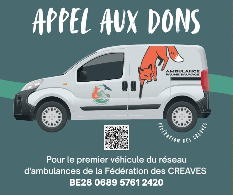 Ambulance faune sauvage
