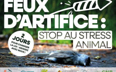 Feux d&rsquo;artifice, stop au stress animal